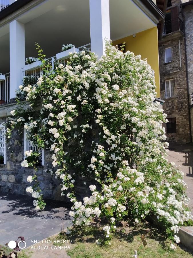 Bed and Breakfast Il Giardino Di Cres Esino Lario Екстер'єр фото